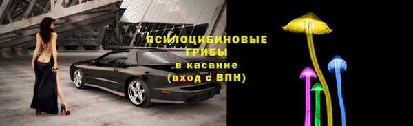 ALPHA PVP Инсар