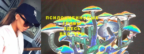 твердый Белокуриха